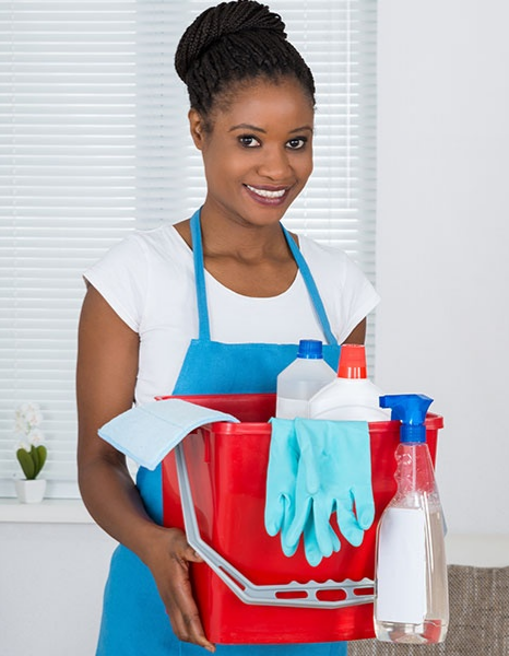 Cleaner-466x600